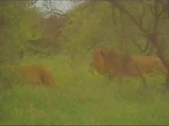 Blondie Kruger Park