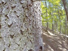 Young Girl is Caught during fucking by a peeper in forest in all 3 holes