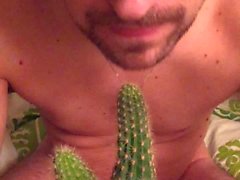 Swineboy give a cactus a bj