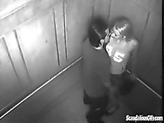 Wild sex In The Elevator Gets Caught On Cam