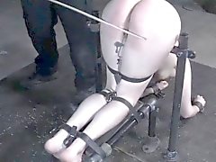Collared slave pussyclamped while restrained