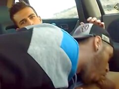 'Cute guys sucking and kissing in the car'