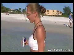 Chick at the beach has fun swimming