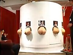 Asian butts sticking out of gloryholes