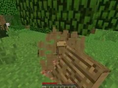 Super Sexi Minecraft Playthrough